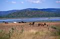 australie queensland 29